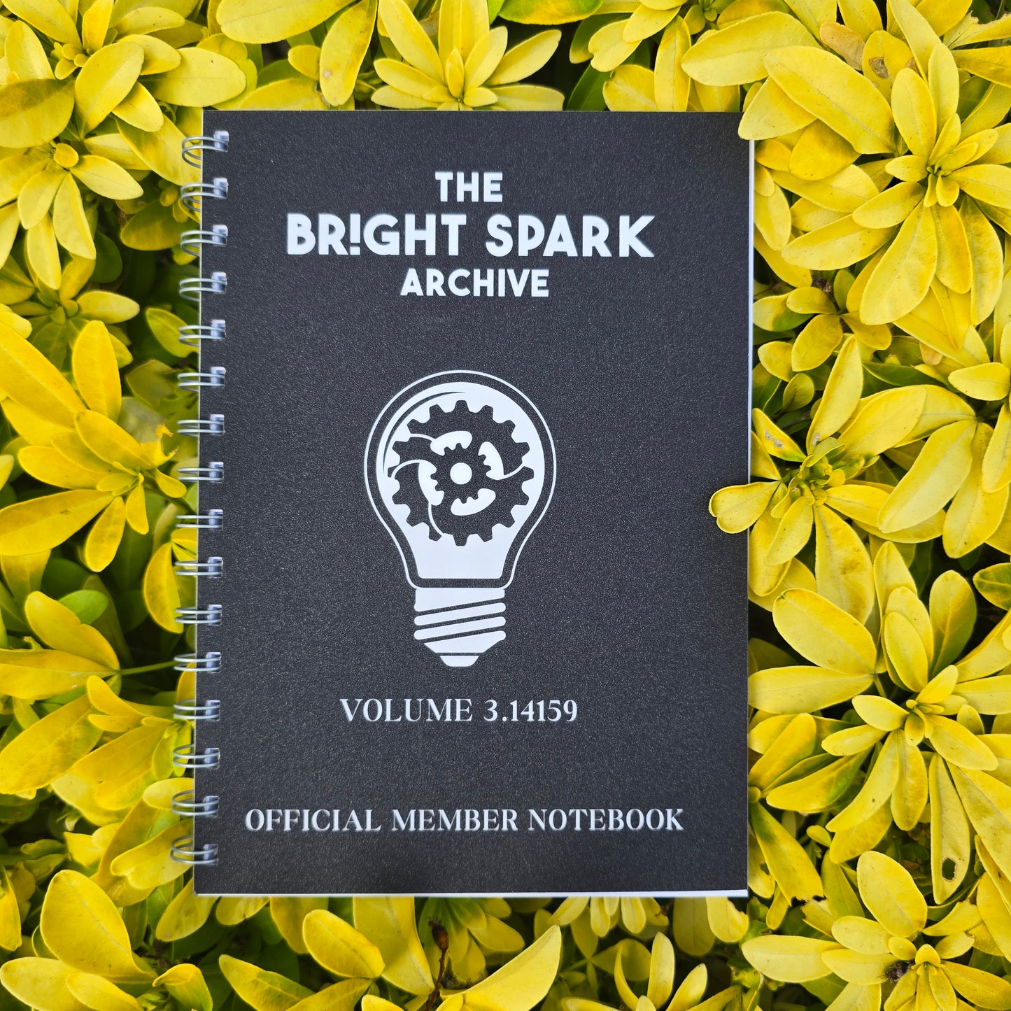 Bright Spark Plain Notebook (Glitter Finish)