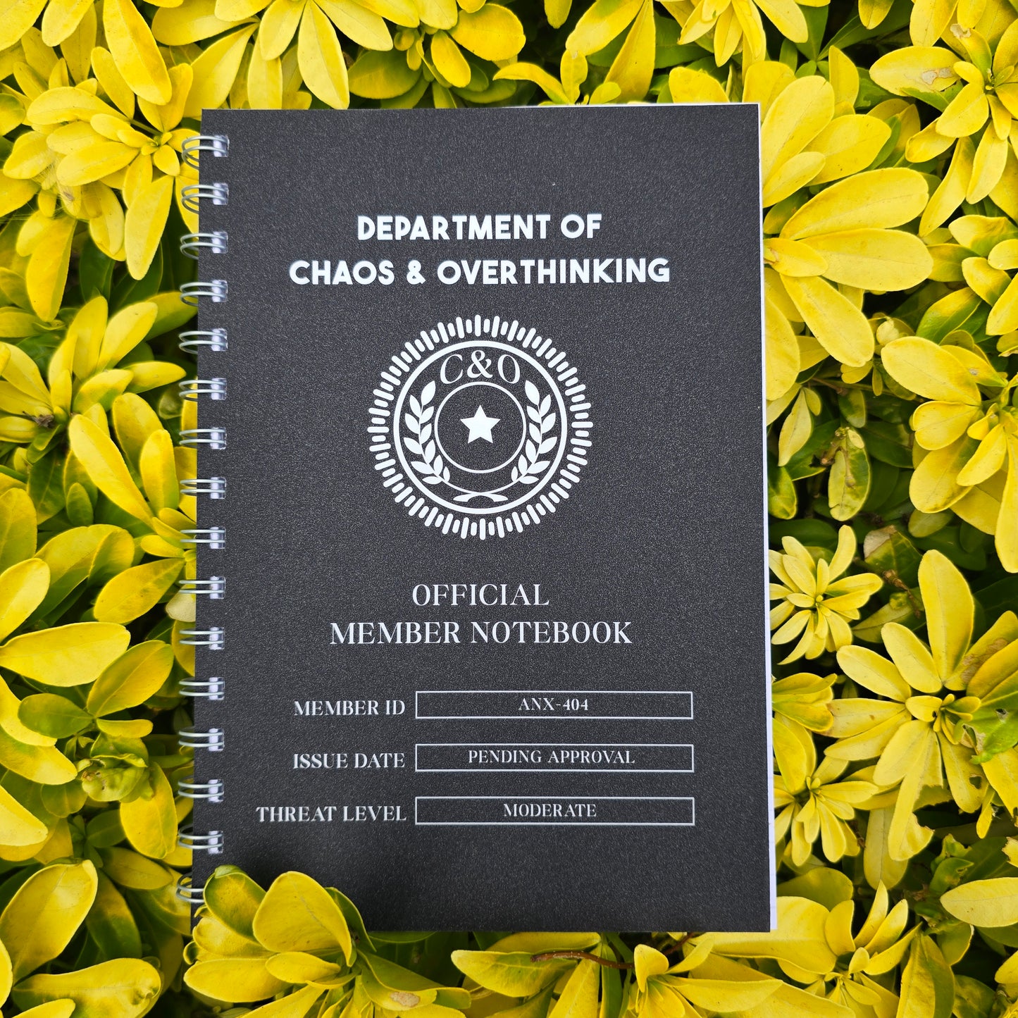 Chaos & Overthinking Lined Notebook (Silk Finish)