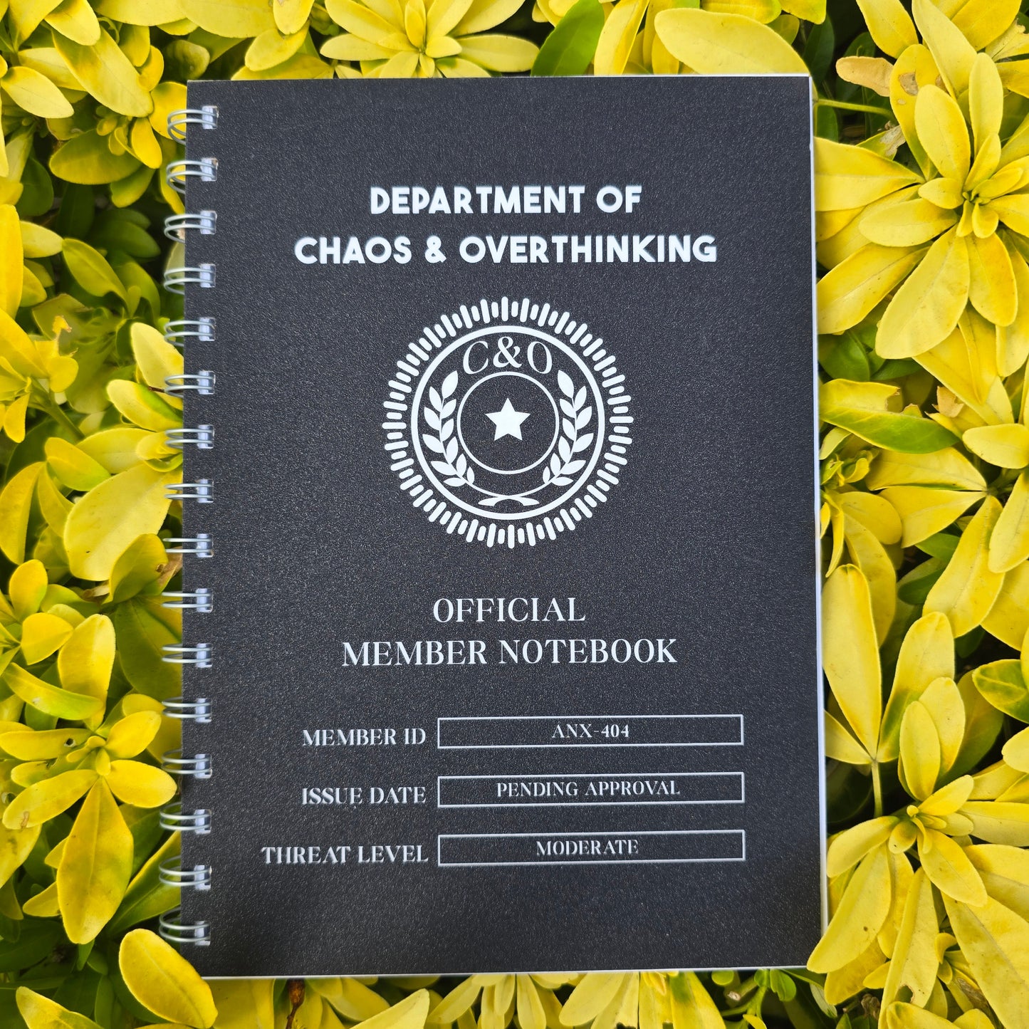Chaos & Overthinking Lined Notebook (Glitter Finish)
