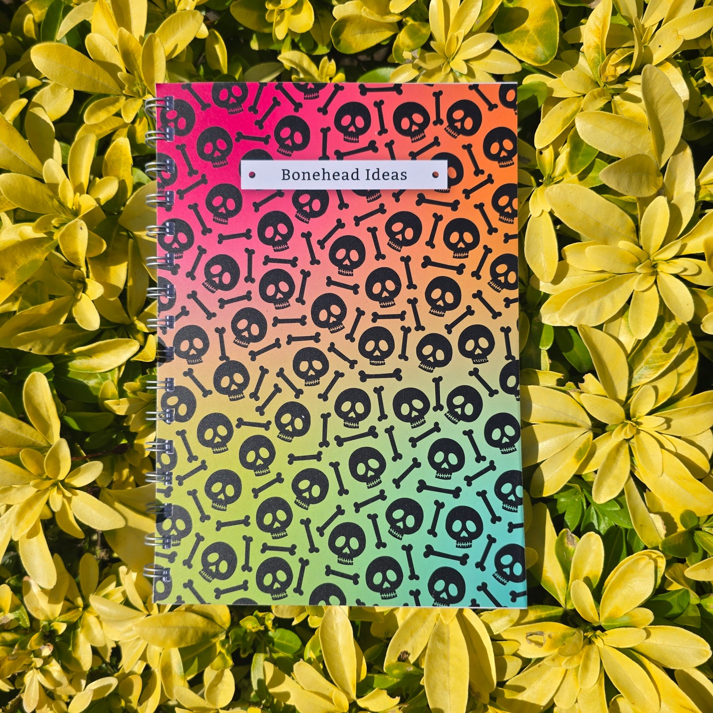 Bonehead Ideas Notebook