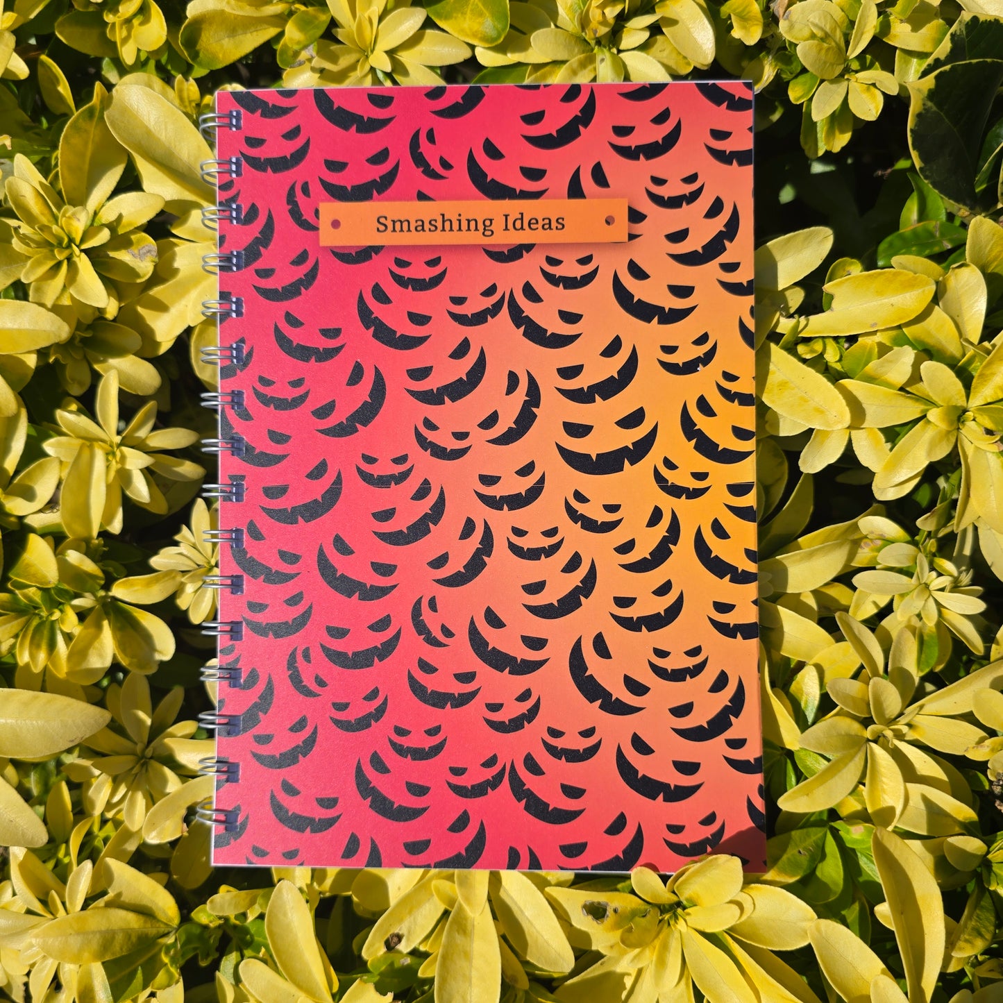 Smashing Ideas Notebook