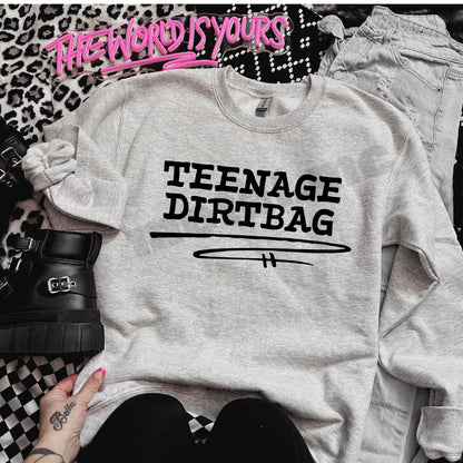 Teenage Dirtbag Sweatshirt