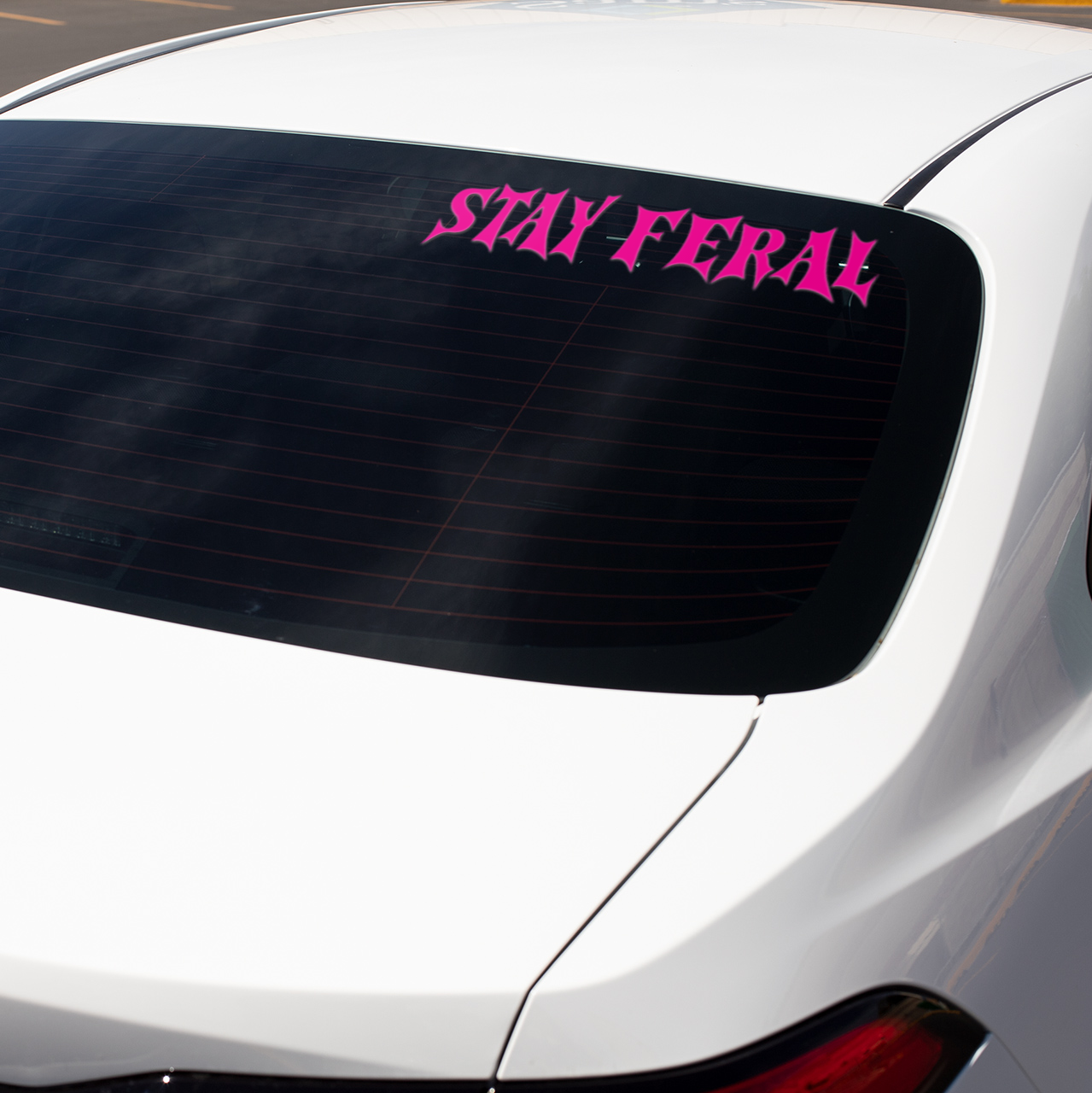 Stay Feral Decal