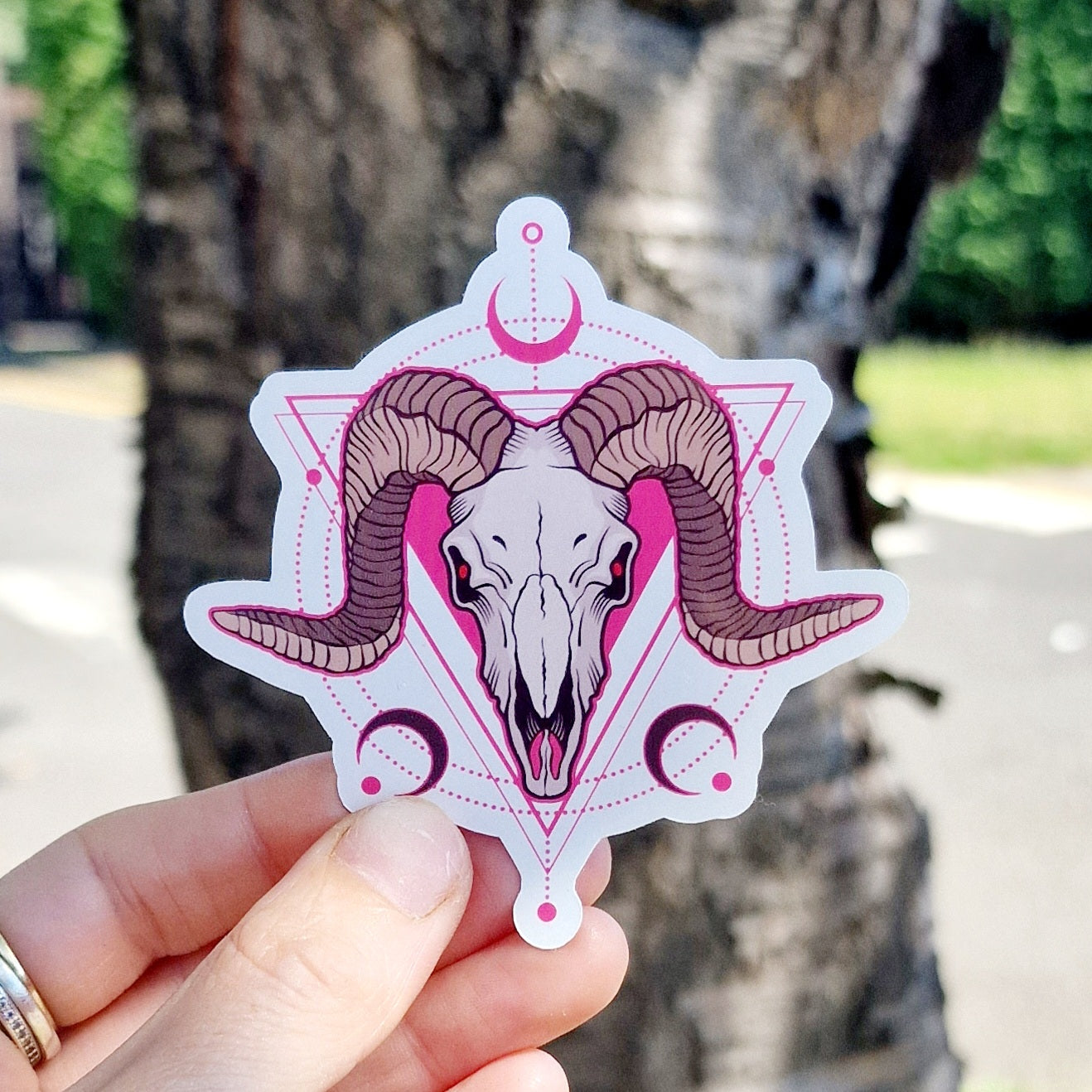 Pink Ram Vinyl Sticker