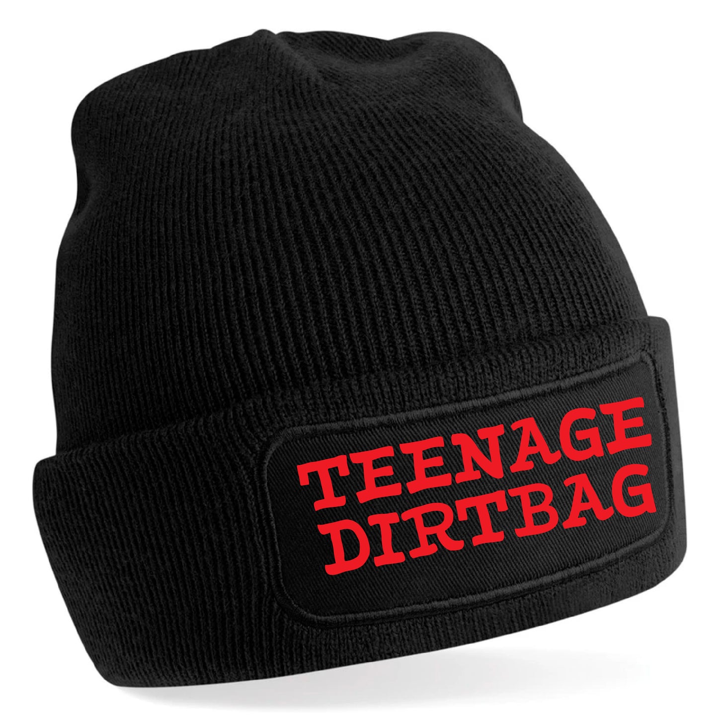 Teenage Dirtbag Beanie Hat